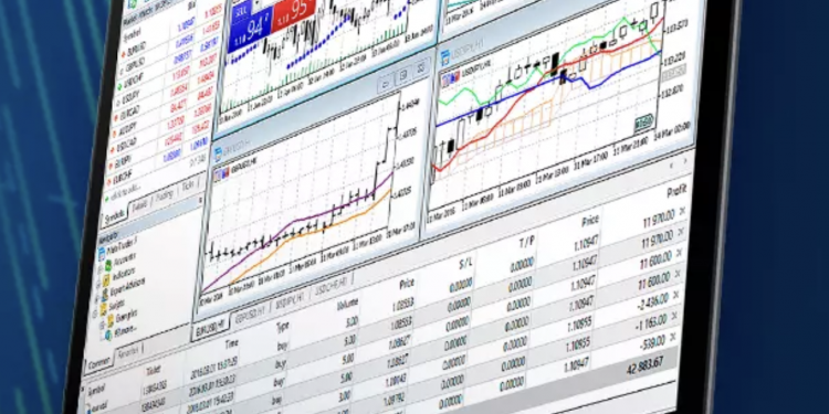 RoboForex