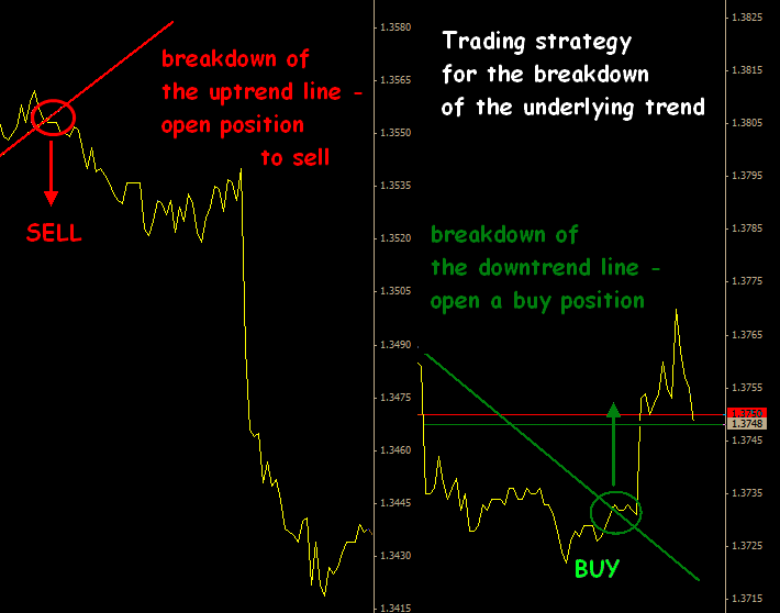 Forex Chief