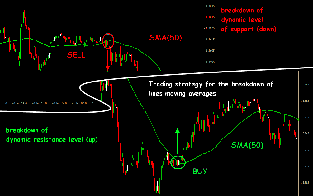 Forex Chief