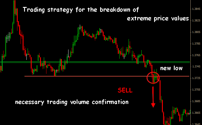 Forex Chief