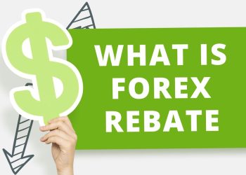 Generate Passive Income through Forex Rebates