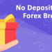 What-is-a-No-Deposit-Forex-Bonus-and-How-to-Get-It