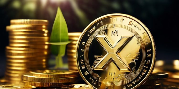 No Deposit Bonus From XM