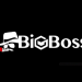 BigBoss logo