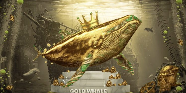 XChief GOLD WHALE Contest
