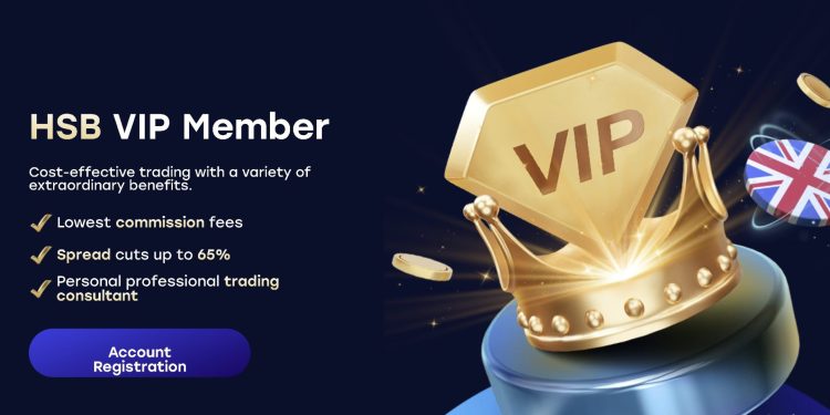 HSB VIP Member Program