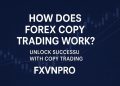 Forex Copy Trading for Beginners