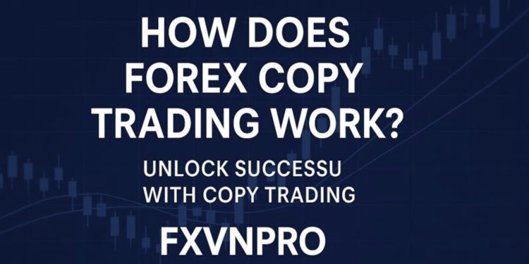 Forex Copy Trading for Beginners