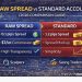 Raw Spread vs Standard Account